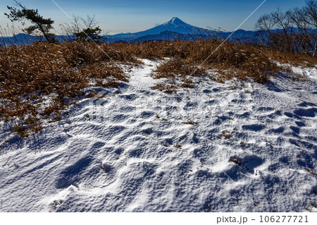 冬の大菩薩連嶺・白谷ノ丸から見る富士山 106277721