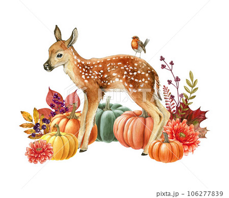 Autumn cozy decoration with fawn, pumpkins and flowers. Watercolor illustration. Thanksgiving seasonal festive decor with natural elements and forest animal. Autumn mood cozy decor. White background 106277839