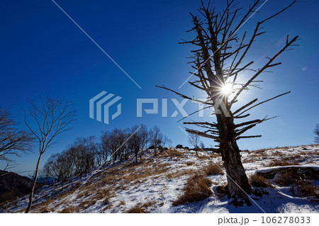 冬の大菩薩連嶺・白谷ノ丸稜線の風景 冬の大菩薩連嶺・白谷ノ丸稜線の風景 106278033