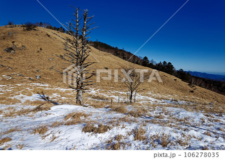 冬の大菩薩連嶺・白谷ノ丸稜線の風景 106278035