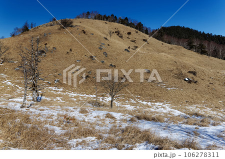 冬の大菩薩連嶺・白谷ノ丸稜線の風景 106278311
