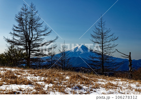 大菩薩連嶺・白谷ノ丸の草原と冬の富士山 大菩薩連嶺・白谷ノ丸の草原と冬の富士山 106278312