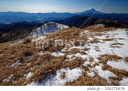 大菩薩連嶺・白谷ノ丸の草原と冬の富士山 106278676