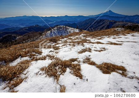 大菩薩連嶺・白谷ノ丸の草原と冬の富士山 106278680