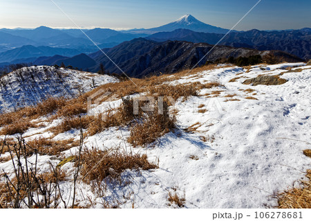 冬の大菩薩連嶺・白谷丸から見る富士山 106278681