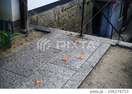 尾道持光寺境内石畳の落花 尾道持光寺境内石畳の落花 106278753