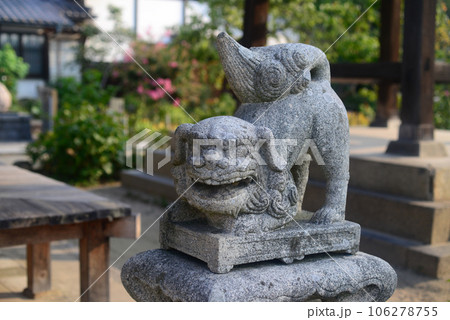 尾道持光寺境内の狛犬 尾道持光寺境内の狛犬 106278755