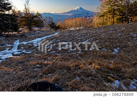 雁ヶ腹摺山から見る早朝の富士山 106278800