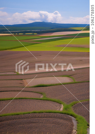 広い平野 パッチワークの丘《AI生成画像》 106278805