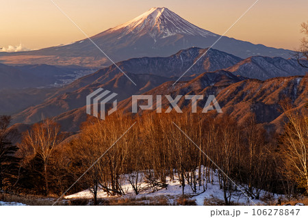 雁ヶ腹摺山から見る朝焼けの富士山 106278847