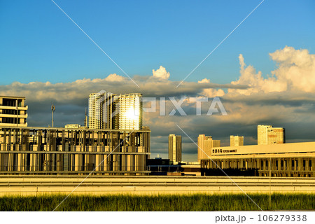 豊洲市場の屋上緑化広場から見える風景 豊洲市場の屋上緑化広場から見える風景 106279338