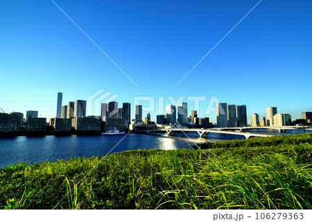豊洲市場の屋上緑化広場から見える風景 豊洲市場の屋上緑化広場から見える風景 106279363