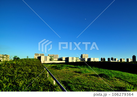 豊洲市場の屋上緑化広場から見える風景 豊洲市場の屋上緑化広場から見える風景 106279364