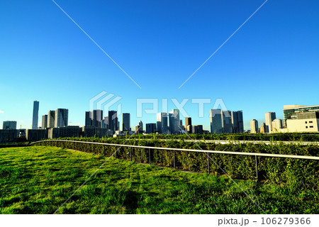 豊洲市場の屋上緑化広場から見える風景 豊洲市場の屋上緑化広場から見える風景 106279366