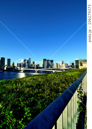 豊洲市場の屋上緑化広場から見える風景 豊洲市場の屋上緑化広場から見える風景 106279373