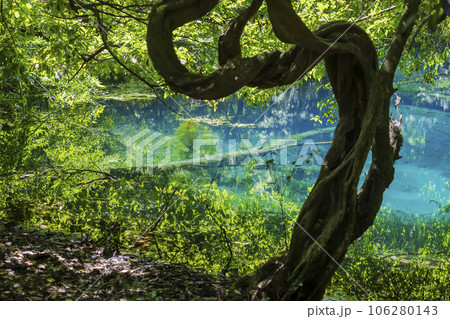 丸池様　山形県観光スポット 106280143