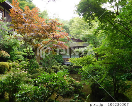 京都　大原　寂光院　孤雲　茶室 106280307