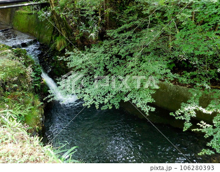京都 大原 寂光院 草生川 京都 大原 寂光院 草生川 106280393