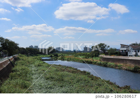 柳瀬川(埼玉県志木市) 柳瀬川(埼玉県志木市) 106280617