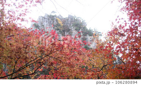 紅葉した木々と麒麟山 106280894
