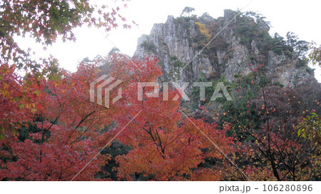 紅葉した木々と麒麟山 紅葉した木々と麒麟山 106280896