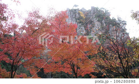 紅葉した木々と麒麟山 106280898