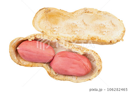 Peanut pod or arachis isolated on white background cutout. File contains clipping path. 106282465