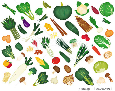 野菜ときのこの水彩風イラスト 106282491