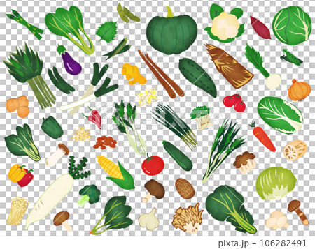 Watercolor illustration of vegetables and mushrooms Watercolor illustration of vegetables and mushrooms 106282491