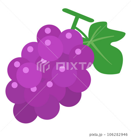ブドウのベクターイラスト ブドウのベクターイラスト 106282946