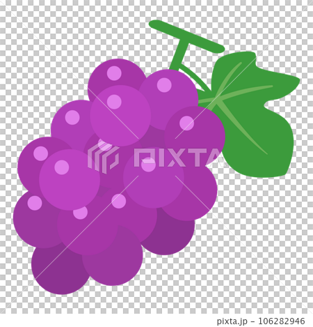 ブドウのベクターイラスト ブドウのベクターイラスト 106282946