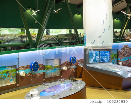 相模原ふれあい科学館の水族館 相模原ふれあい科学館の水族館 106283930