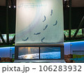 相模原ふれあい科学館の水族館② 106283932