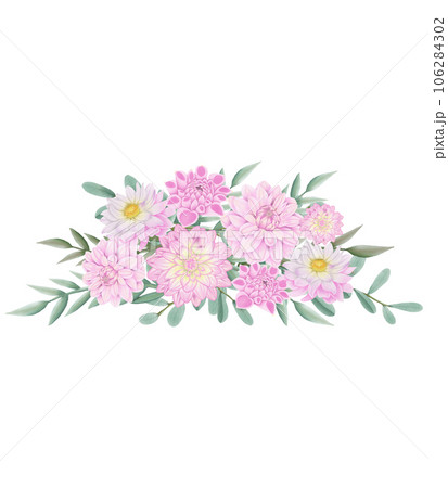 pink dahlia flower pink dahlia flower 106284302