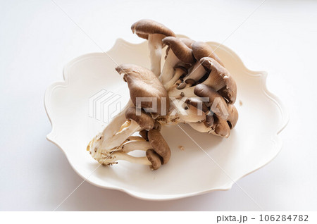 霜降りヒラタケ 霜降りヒラタケ 106284782