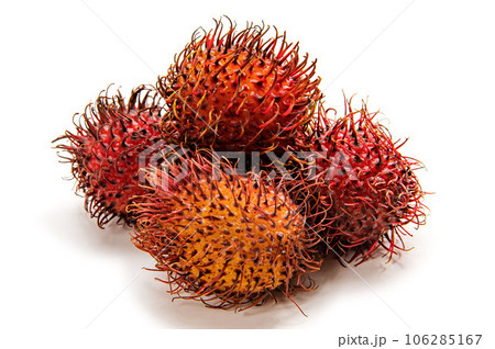 南国トロピカルフルーツのランブータン 106285167