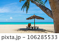 umbrella and chair on the beach 106285533