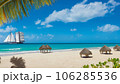 beach with palm trees and beach 106285536