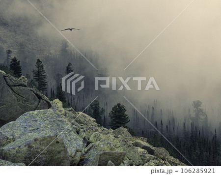 Low clouds over a cliff in a mountain valley. A rocky hill with cedars in the morning mist. The sun barely peeks out from behind the clouds. Harsh Siberian nature. Western Sayans. Low clouds over a cliff in a mountain valley. A rocky hill with cedars in the morning mist. The sun barely peeks out from behind the clouds. Harsh Siberian nature. Western Sayans. 106285921