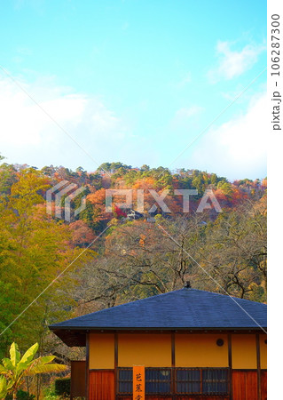 立石寺　山寺　紅葉　黄葉　山寺芭蕉記念館 106287300