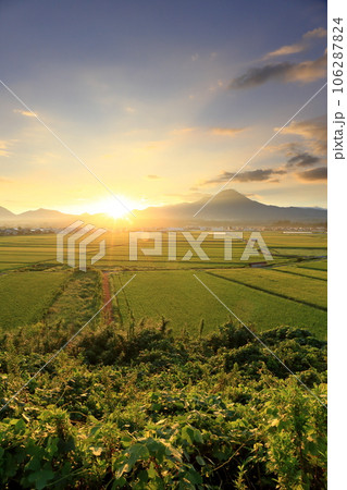 青空の下の鳥取県の伯耆大山と稲の緑が美しい夏の田園風景 106287824