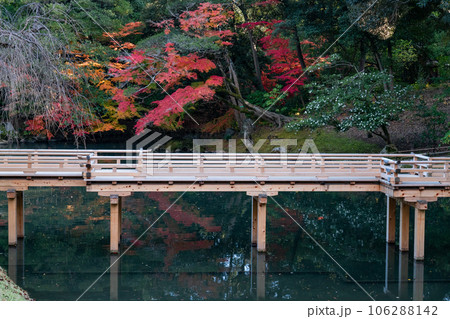【日本三名園】特別名勝 後楽園の晩秋　花葉の池と栄唱橋と紅葉2　岡山県岡山市北区 106288142
