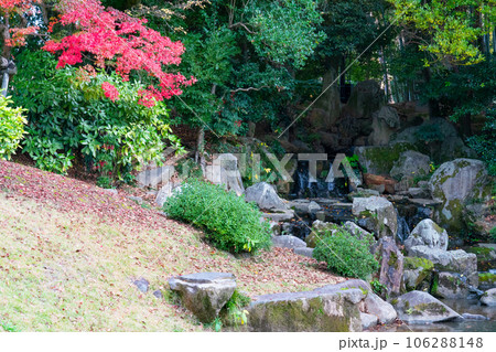 【日本三名園】特別名勝 後楽園の晩秋 花葉の池への流水と紅葉 岡山県岡山市北区 【日本三名園】特別名勝 後楽園の晩秋 花葉の池への流水と紅葉 岡山県岡山市北区 106288148