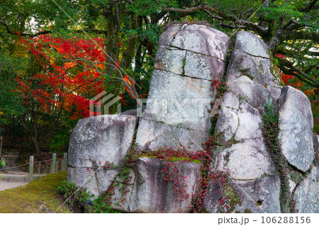 【日本三名園】特別名勝 後楽園の晩秋　大立石と紅葉2　岡山県岡山市北区 106288156