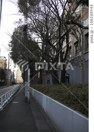 渋谷区鉢山町辺りの歩道 106289548