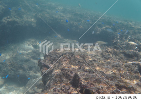 沖縄の海 沖縄の海 106289686