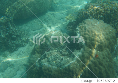 沖縄の海 沖縄の海 106289712