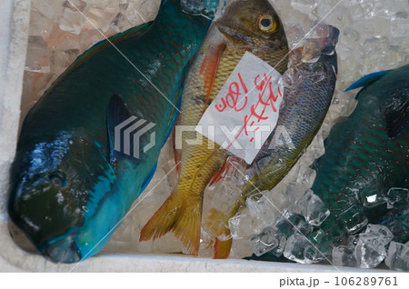 沖縄の魚屋 沖縄の魚屋 106289761