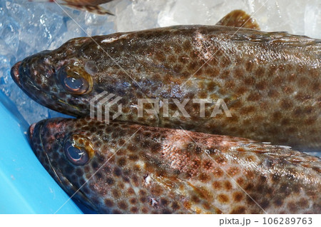 沖縄の魚屋 106289763