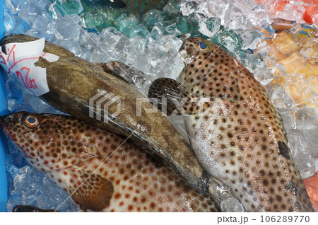 沖縄の魚屋 沖縄の魚屋 106289770